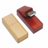 Special Design Wooden USB Flash Drive