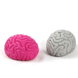  Brain Shaped Eraser